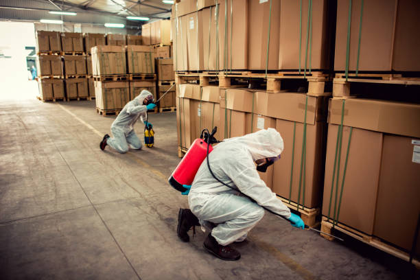 Trusted Braddock, VA Pest Control Experts