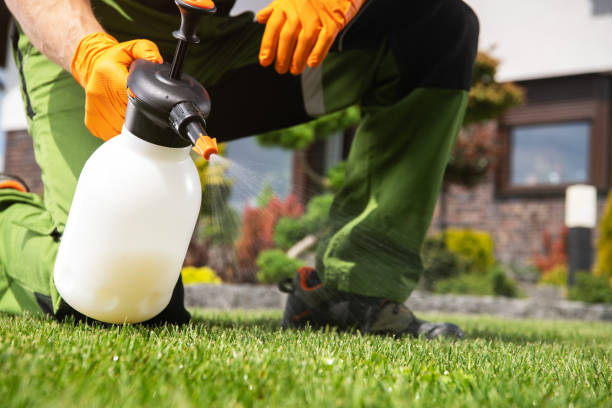 Best Commercial Pest Control Services  in Braddock, VA